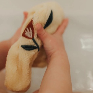 2 Waschhandschuhe 15x22cm PAW gestickt Terry Liebe April Harmonie