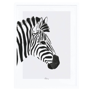 Affiche + Cadre (30X40Cm) - Serengeti : Le Z_Bre Lilipinso