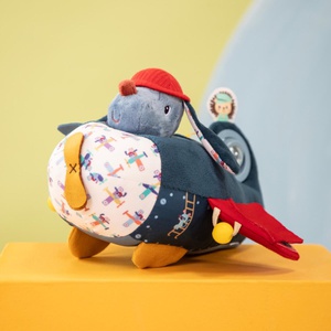 Aktivitätsflugzeug JULES Lilliputiens