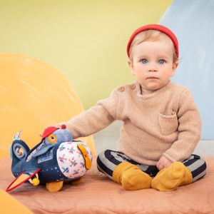 Aktivitätsflugzeug JULES Lilliputiens