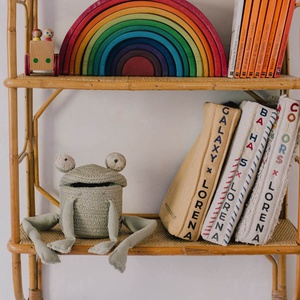 Aufbewahrungskorb Mini Fred the Frog Lorena canals