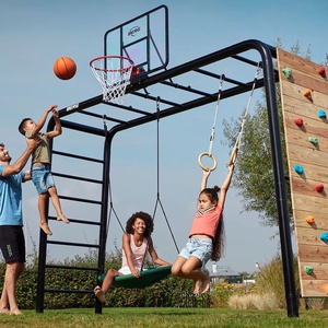 BERG Playbase Large TL (Disc swing+Rings+Climbing wall)
