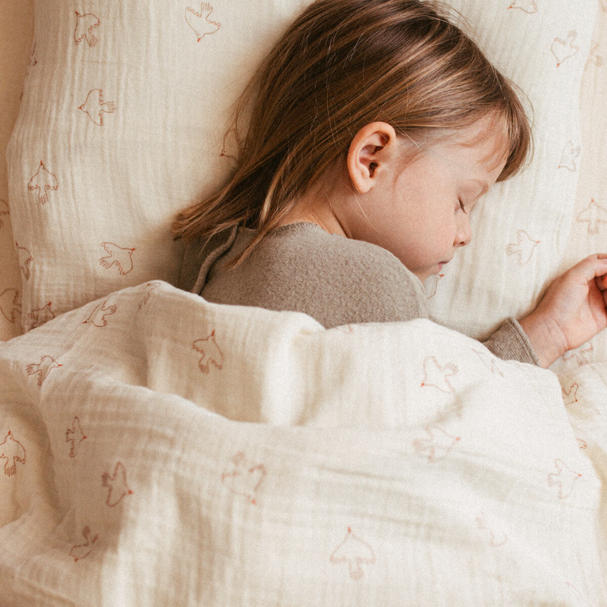 Bettbezug 100x140cm WABI SABI Nobodinoz braun hoshi birds