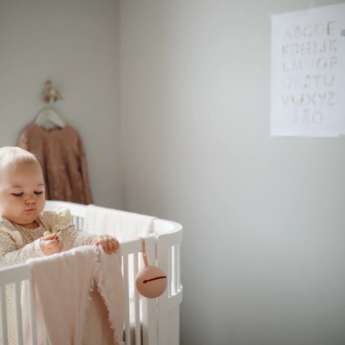 Bibs Silicon Pacifier Case Mushie Blush