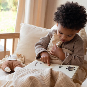 Gardener Löwe 36x24 Nobodinoz