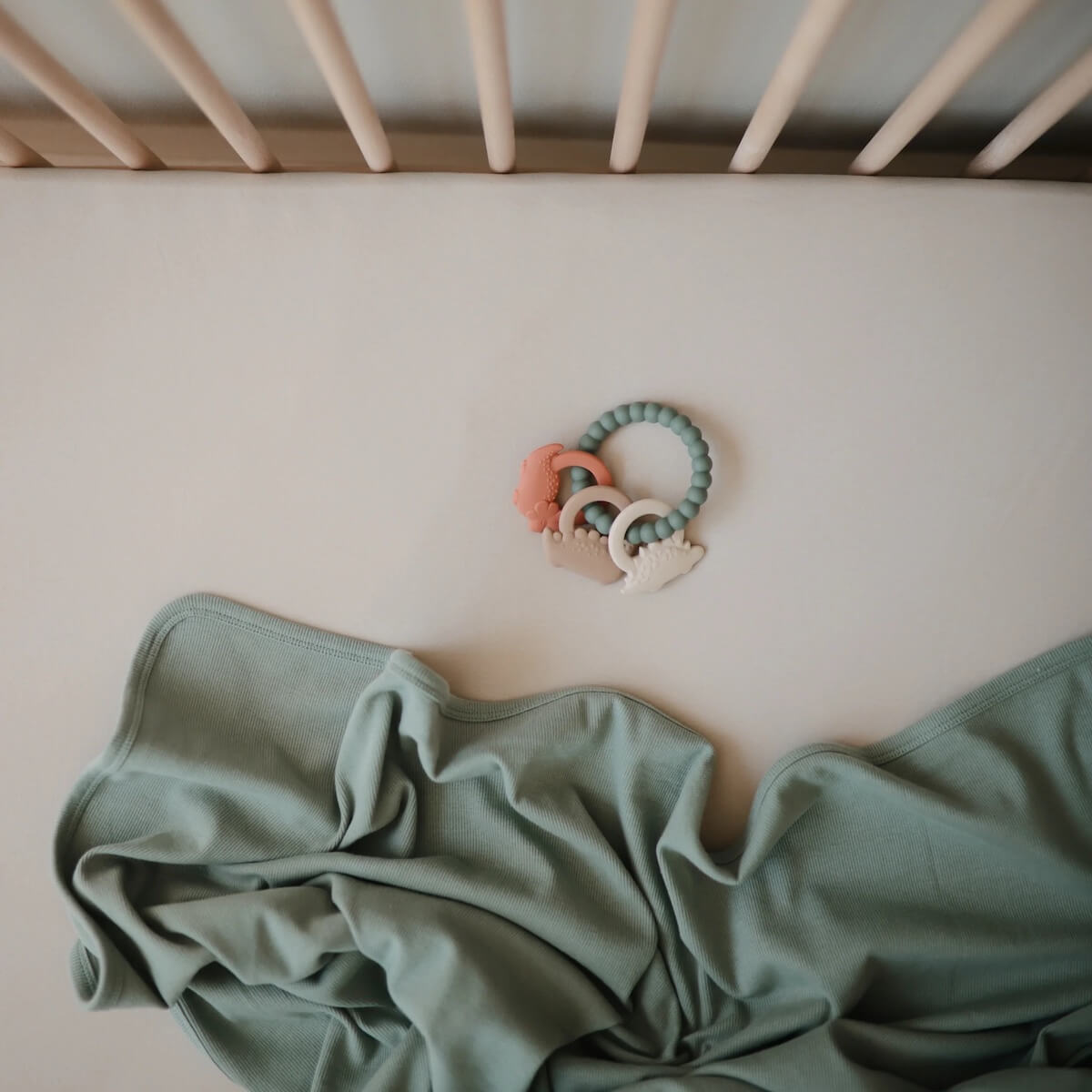 Gebissanbau Mushie dino