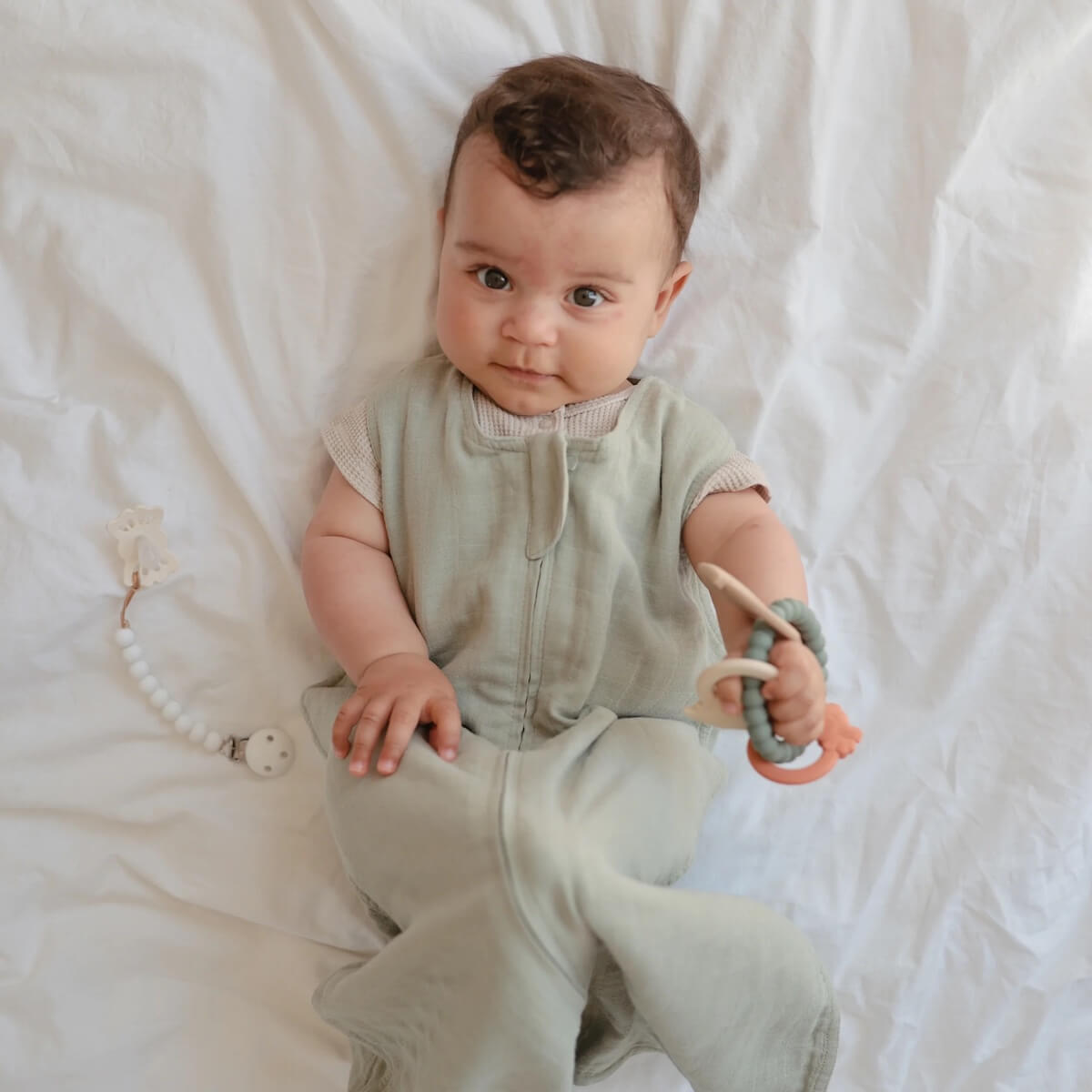 Gebissanbau Mushie dino