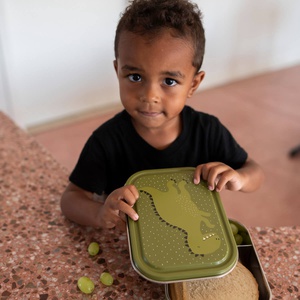 Große Lunchbox Mr. DINO Trixie