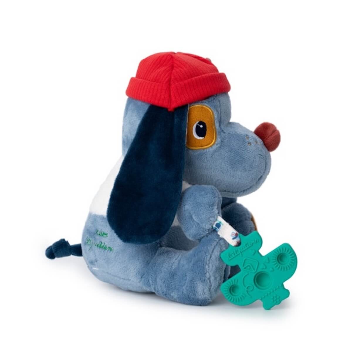 Jules Hund Multi-Aktivitäten Lilliputiens