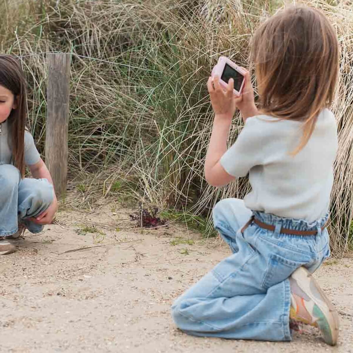 Kamera Immergrün Urbaner Zoo LICORNE Zoofamilie