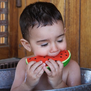 Kauspielzeug WALLY THE WATERMELON Oli and Carol rot