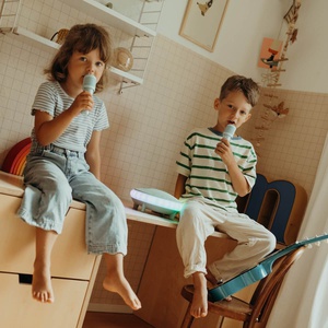 Kidywolf Kidykaraoke - Karaoke-Lautsprecher 2x20w Lautsprecher und zwei drahtlose Mikrofone mit Soundeffekten.