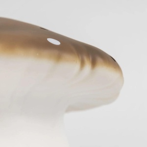 Nachtlicht Grand Champignon Chocoo Egmont toys