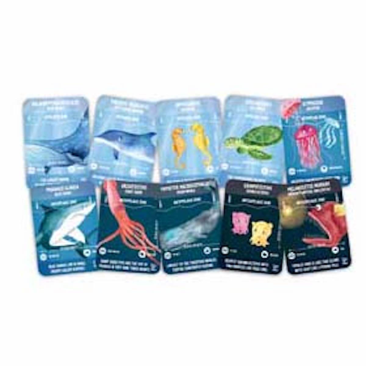 Puzzle Leben im Ozean Hape