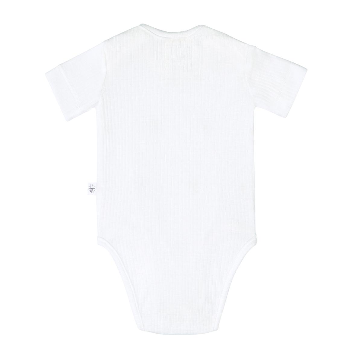 Short Sleeve Body EUCALYPTUS Lait côtelé 3-6m size 62/68 Laessig