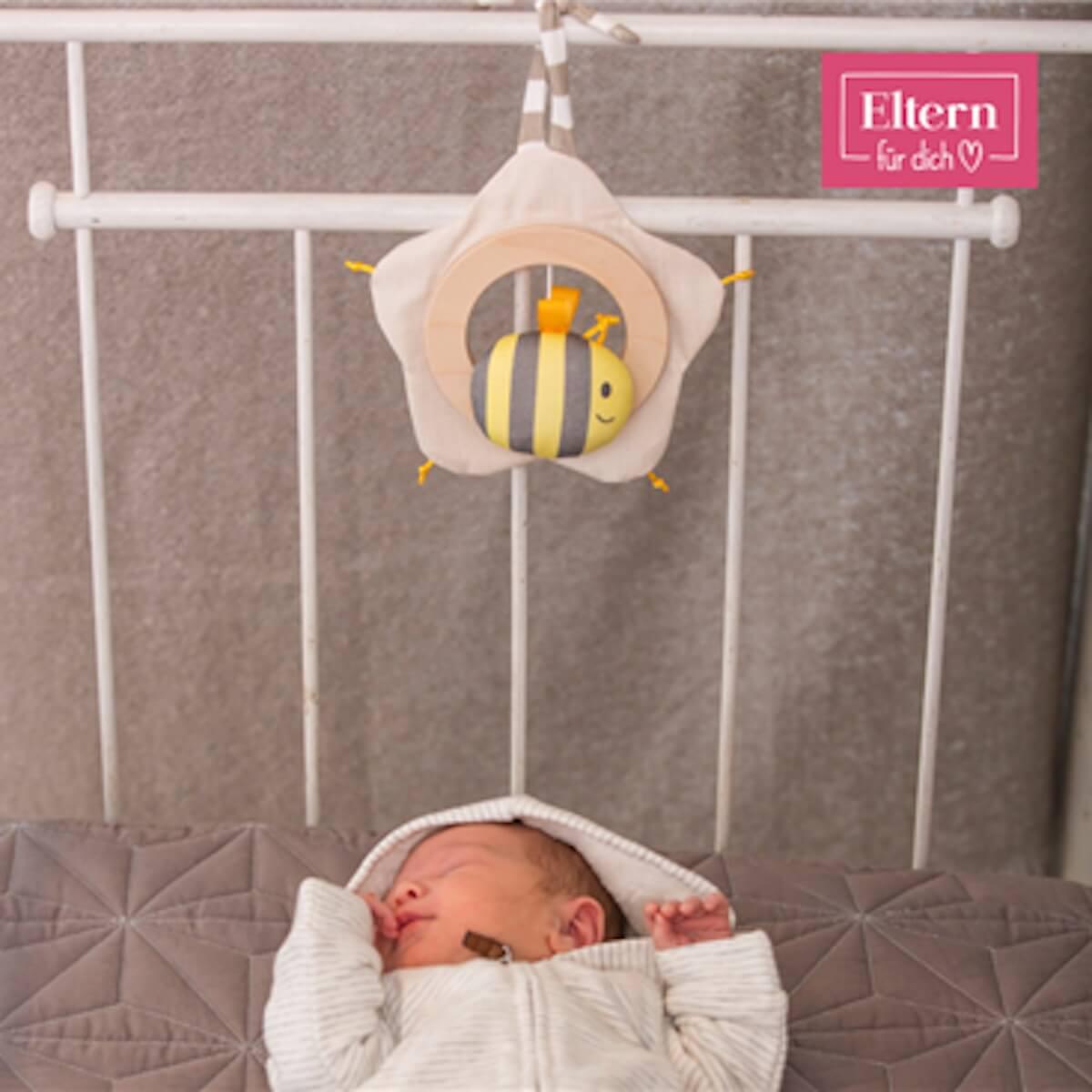 Spieluhr Blume & Biene Billi ELTERN Hape