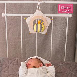 Spieluhr Blume & Biene Billi ELTERN Hape