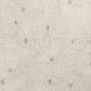 Teppich ESSENCE dots Lifetime natural