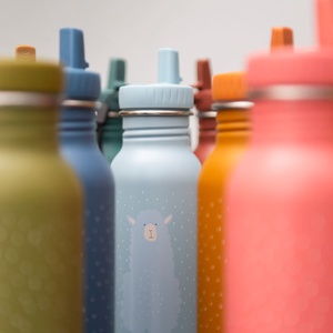 Thermosflasche 500ml Mr. Dino Trixie