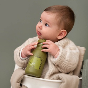 Trinkflasche 350ml Mr. Dino Trixie