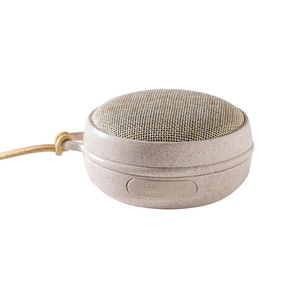 Weißes Rauschen Lautsprecher Echo01 Weizen Membantu