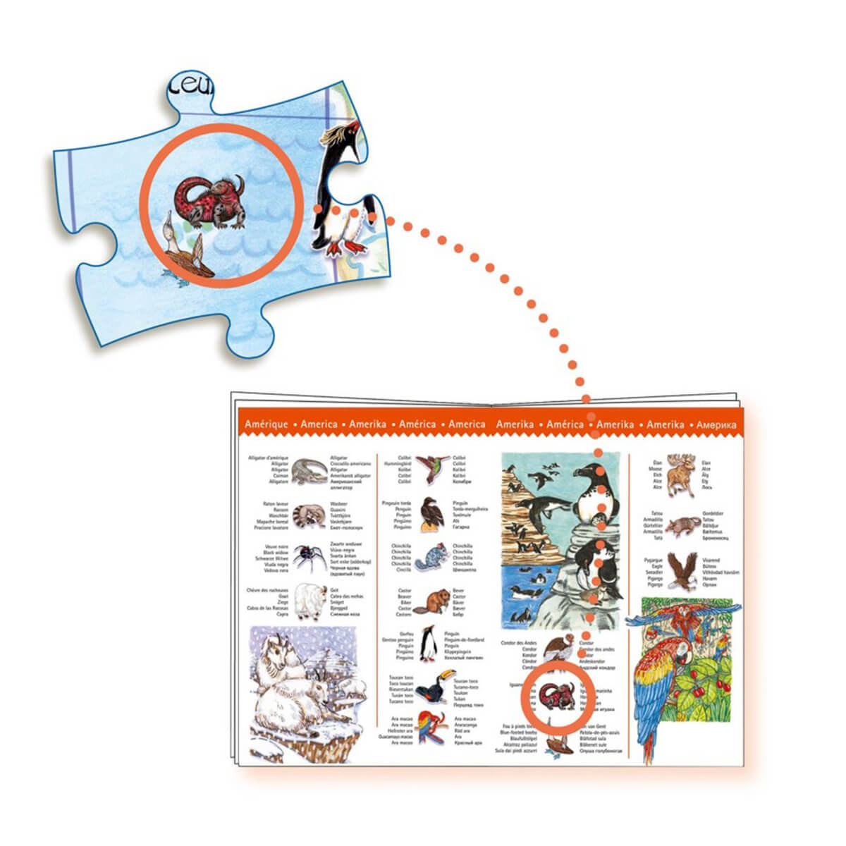 Wimmelpuzzle Tiere der Erde-booklet Djeco