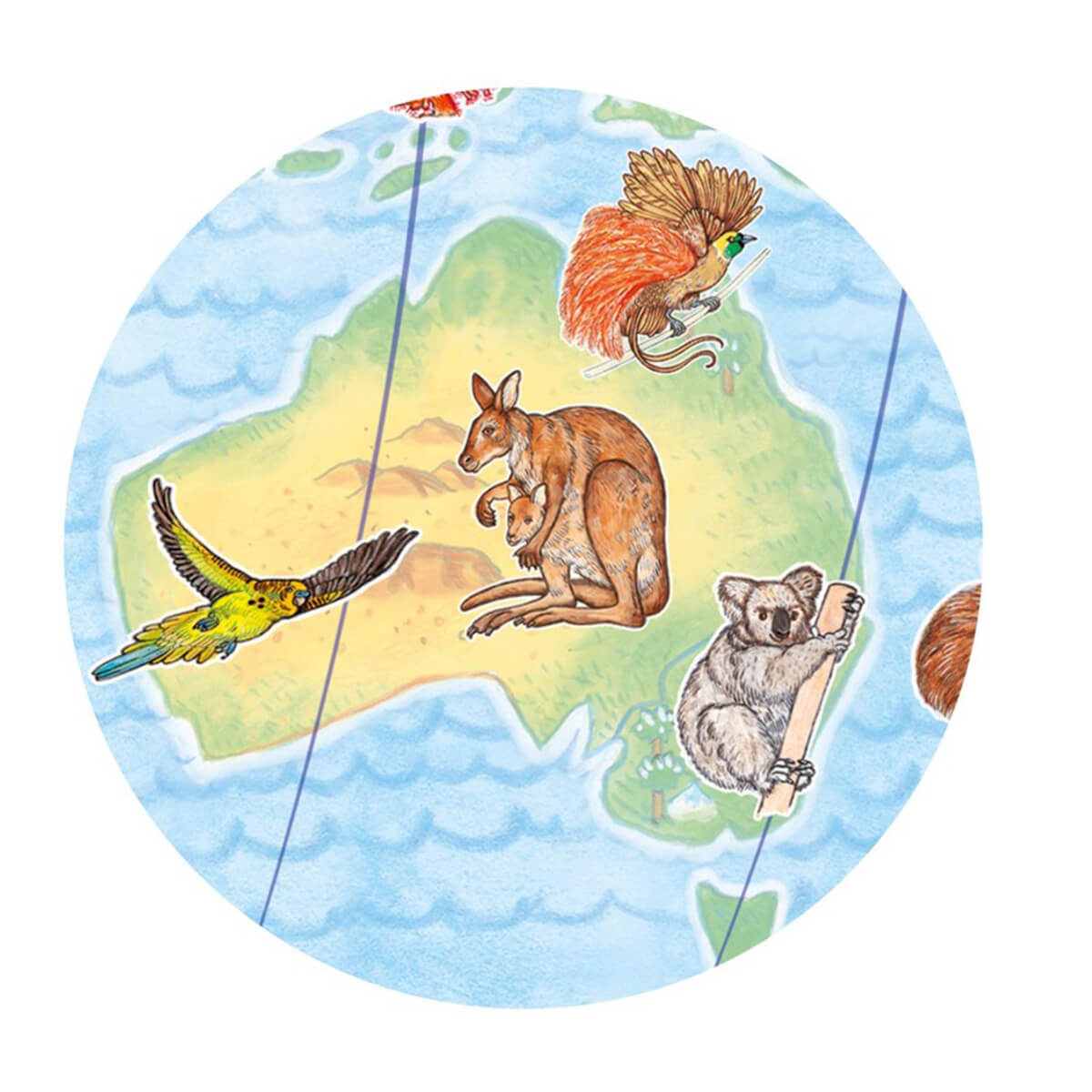 Wimmelpuzzle Tiere der Erde-booklet Djeco