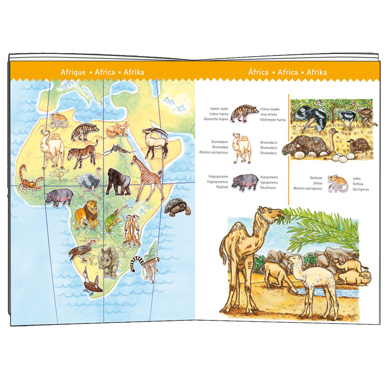 Wimmelpuzzle Tiere der Erde-booklet Djeco