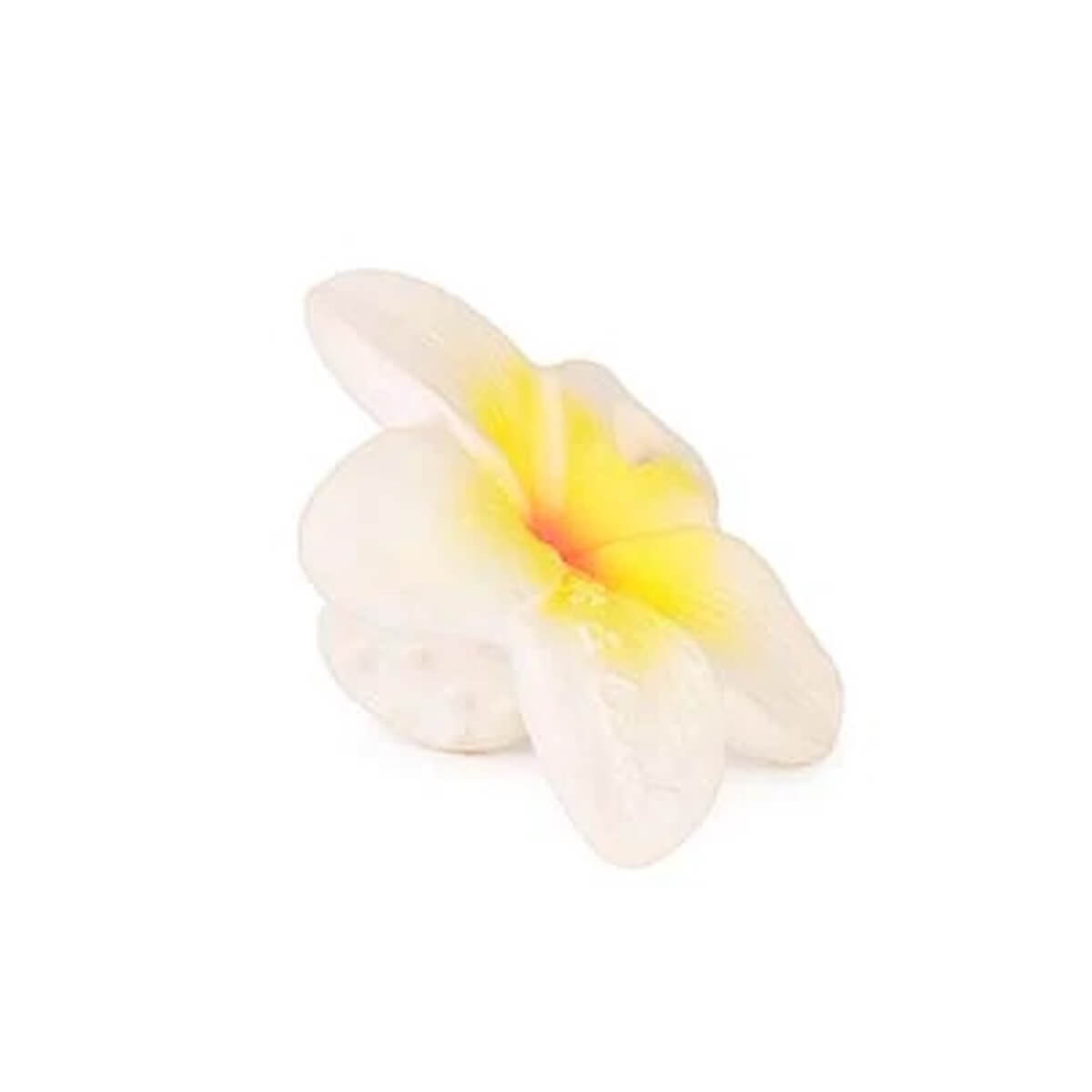 Zahnungshilfe HAWAII THE FLOWER Oli & Carol