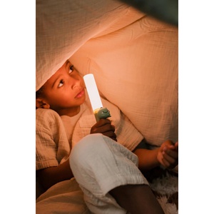 Zoo light DINO ZooFamily