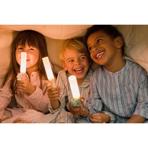 Zoo light FOX ZooFamily